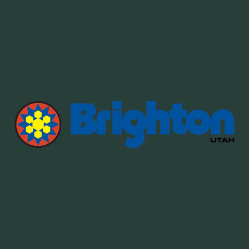 Brighton Adult Hoodie Full Color Chest Logo Forest - Image 2