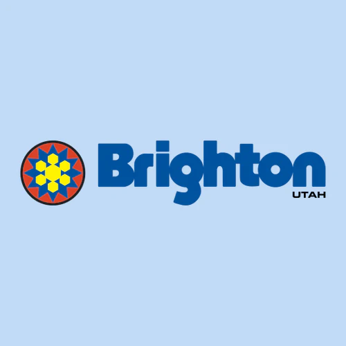 Brighton Adult T-Shirt Full Color Chest Logo Light Blue - Image 2