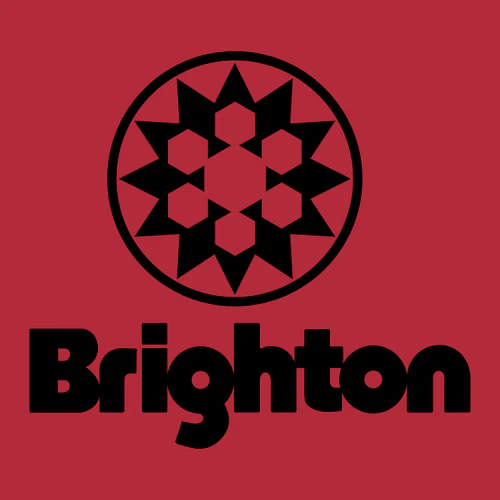Brighton Adult Hoodie Black Chest and Back Logo Red - Image 3