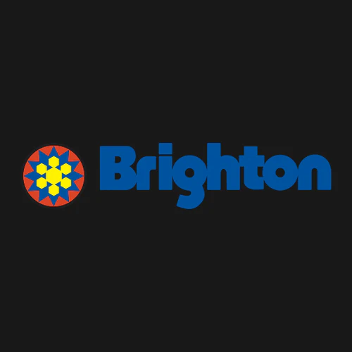 Brighton Adult Hoodie Full Color Chest and Back Logo Black - Image 5