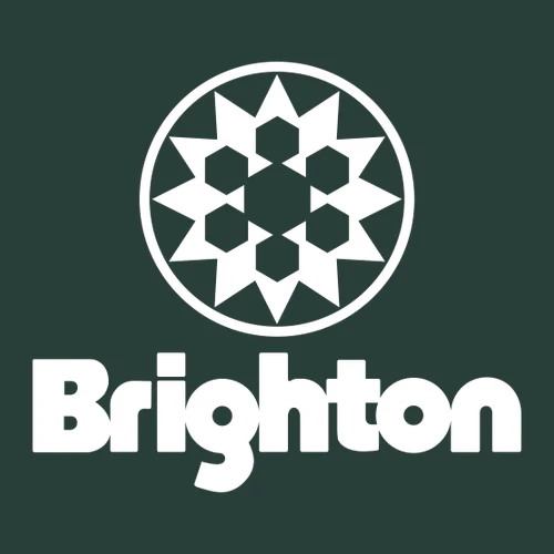 Brighton Adult Hoodie White Chest and Back Logo Forest - Image 3