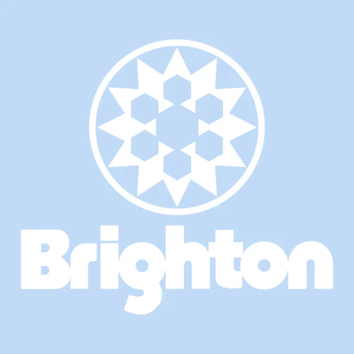 Brighton Adult T-Shirt White Chest and Back Logo Light Blue - Image 3