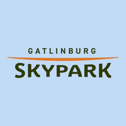 Gatlinburg SkyPark Adult T-Shirt Full Color Chest Logo Light Blue - Image 2