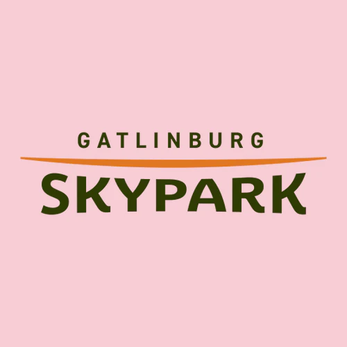 Gatlinburg SkyPark Adult T-Shirt Full Color Chest Logo Pink - Image 2