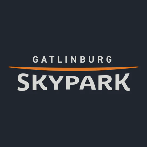 Gatlinburg SkyPark Adult Long Sleeve Full Color Chest Logo Navy - Image 2