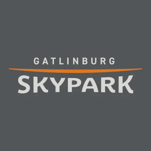 Gatlinburg SkyPark Adult Hoodie Full Color Chest Logo Asphalt - Image 2