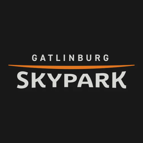 Gatlinburg SkyPark Adult Hoodie Full Color Chest Logo Black - Image 2