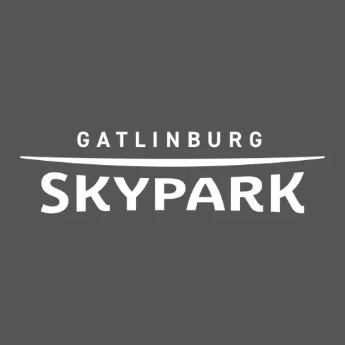 Gatlinburg SkyPark Adult Crewneck White Chest Logo Asphalt - Image 2