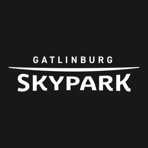 Gatlinburg SkyPark Adult Crewneck White Chest and Back Logo Black - Image 3
