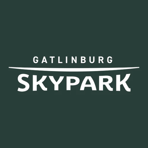 Gatlinburg SkyPark Adult Hoodie White Chest and Back Logo Forest - Image 3