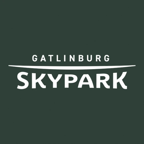 Gatlinburg SkyPark Adult T-Shirt White Chest and Back Logo Forest - Image 5