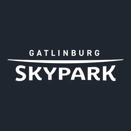 Gatlinburg SkyPark Adult T-Shirt White Chest and Back Logo Navy - Image 5