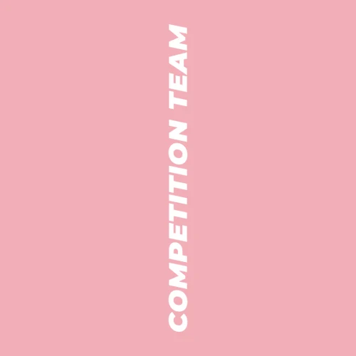 Loon Competition Team Adult Crewneck Pink - Image 4