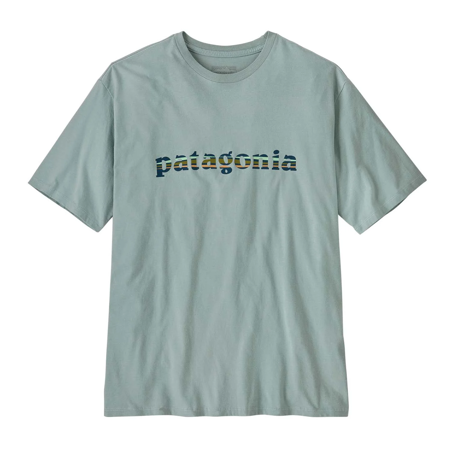 Patagonia Men's '73 Text Logo Organic T-Shirt
