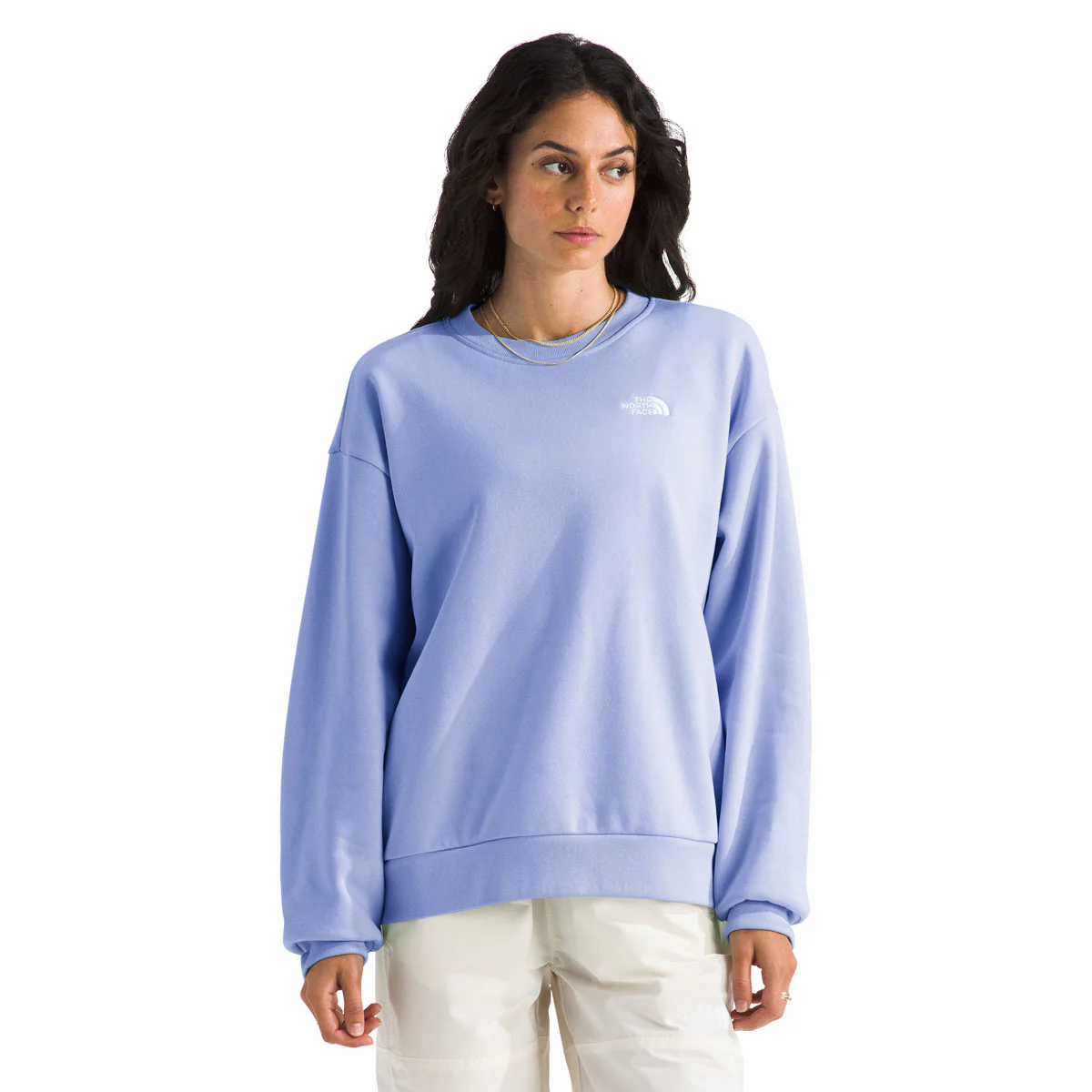 The North Face Women's Evolution Simple Dome Oversize Crew