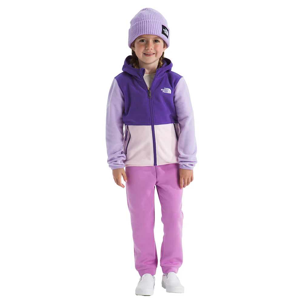 The North Face Toddler's Glacier Full Zip Hoodie - Image 5