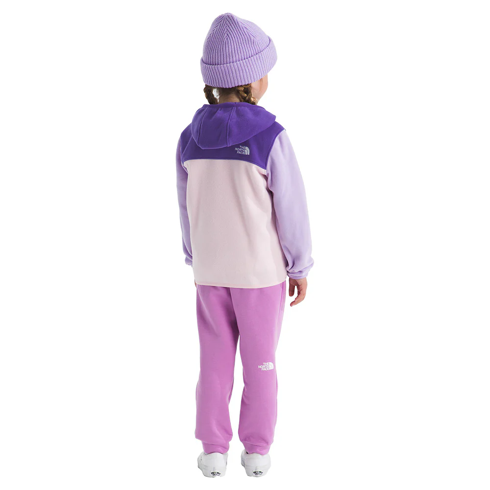 The North Face Toddler's Glacier Full Zip Hoodie - Image 6